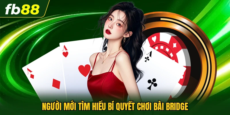 Bí Quyết Chơi Bài Bridge Giúp Nâng Cao Khả Năng Phối Hợp 1 Người mới tìm hiểu bí quyết chơi bài Bridge