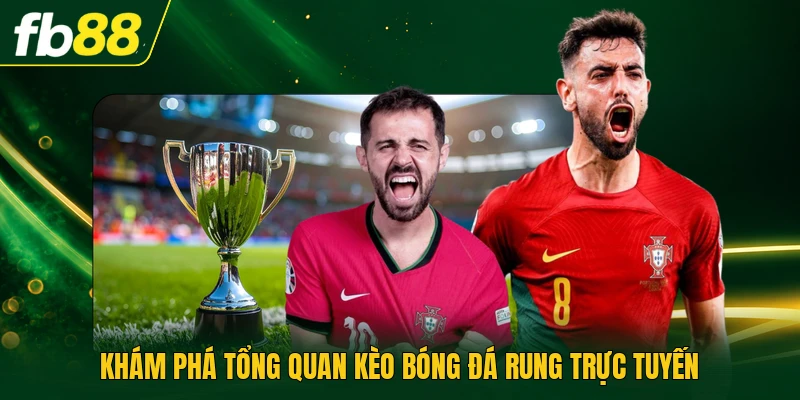 Khám phá tổng quan kèo bóng đá rung trực tuyến
